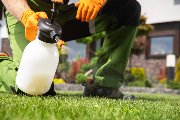Best Emergency Pest Control  in Lantana, TX