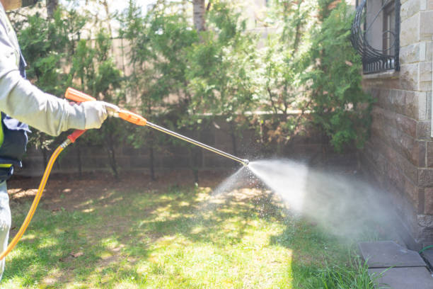 Best Best Pest Control Companies  in Lantana, TX