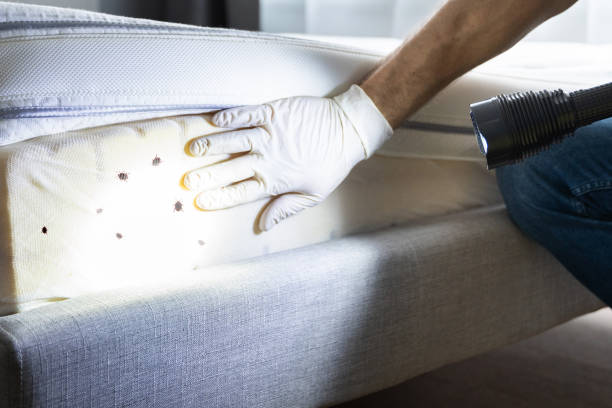 Best Wildlife Control Services  in Lantana, TX