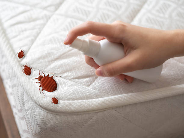 Best Best Pest Control Companies  in Lantana, TX