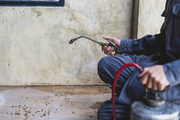 Best Pest Inspection Near Me  in Lantana, TX
